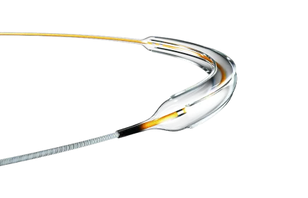 aperta nse pta balloon dilatation catheter