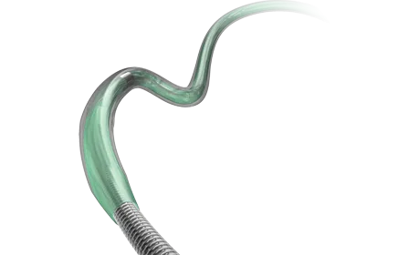 laxa ptca balloon catheter