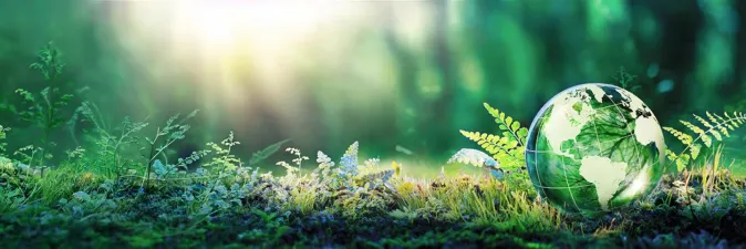 ISO14001 certification