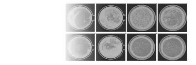 reducing heparin use with solacea-H